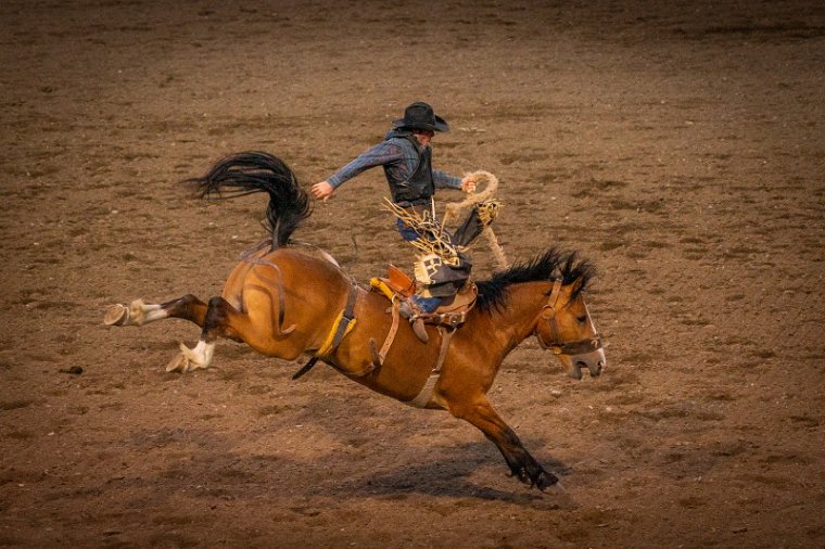 046 Cody, rodeo.jpg
